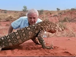 Páratlan életpálya: 100 éves David Attenborough
