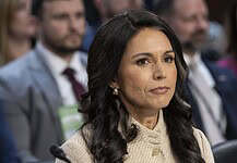Lemondott Tulsi Gabbard