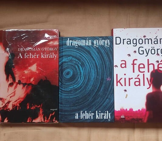 Erdélyben játszódó regényt adtak ki perzsa nyelven