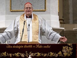 Kitüntették Erdő Péter bíborost