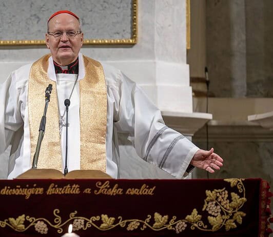 Kitüntették Erdő Péter bíborost