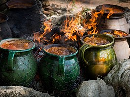 Mohácsi sokác bab