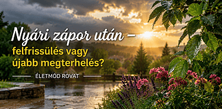Nyári zápor után – felfrissülés vagy újabb megterhelés?