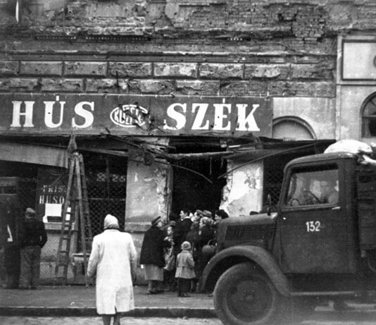1956 emberi arca – Amikor a becsület erősebb volt a félelemnél